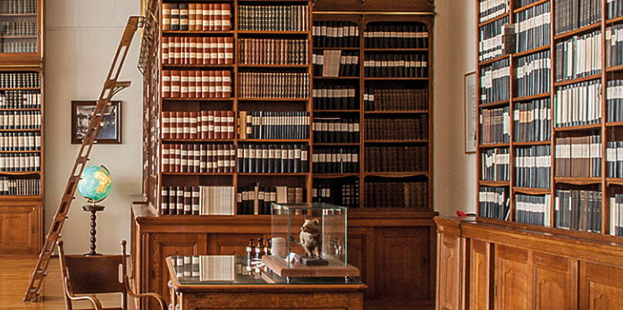 Schimmel-Bibliothek